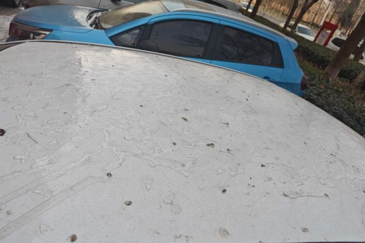 Used Geely Auto Vision 2020 Revised Version 1.5L CVT Asian Games Edition