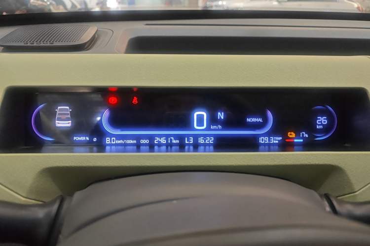 Used  Panda 2023 Panda Mini 120km Super Cute Bear
