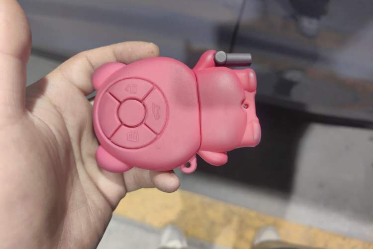 Used ORA Good Cat GT 2022 Mulan Edition 480km Long-Range续航
