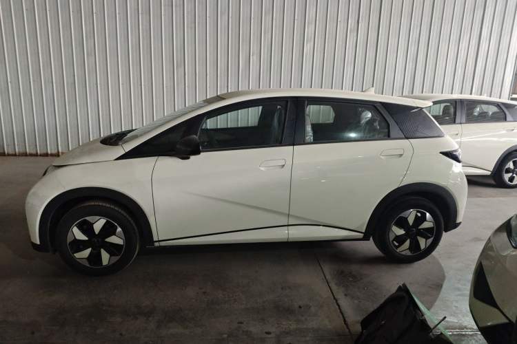 Used BYD Dolphin 2025 420km Free Edition
