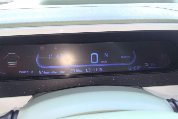 Used  Panda 2025 210km Panda Rider
