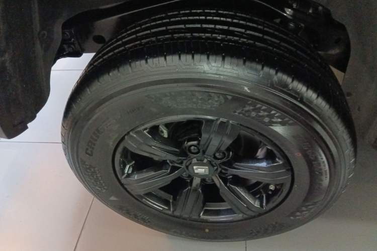 Used Tank 300 2024 2.0T Conqueror