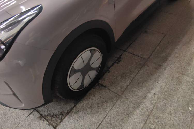 Used  Geome 2025 310km Youth Edition
