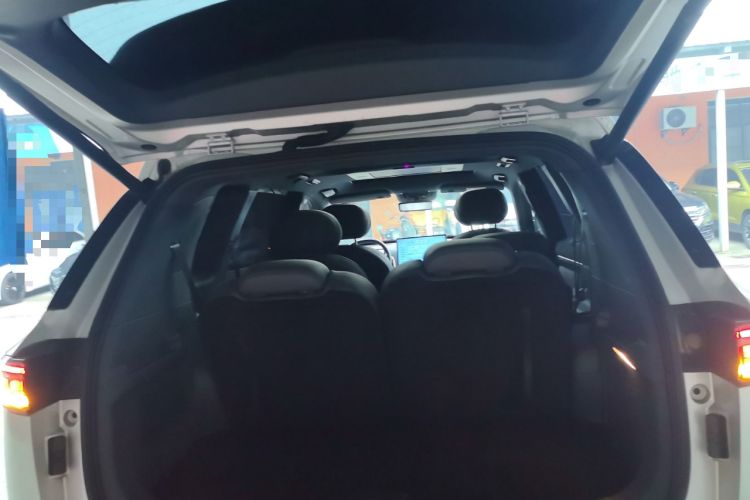 Used  eπ008 2024 210Max Range-Extended Version 6 Seats