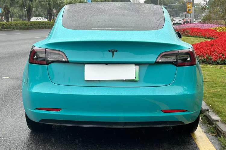 Used Tesla Model 3 2019 Long-Range Rear-Wheel-Drive Version
