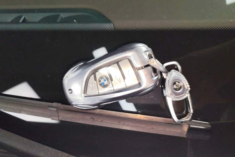 Used BMW 5 Series New Energy 2020 Mileage Upgrade Version 530Le Luxury Package