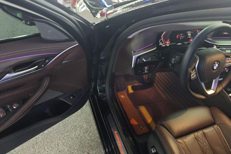 Used BMW 5 Series 2020 530Li Luxury Edition Premium Package