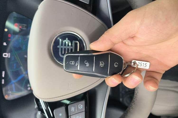 Used BYD Tang New Energy 2025 Intelligent Driving Version DM-i 115KM Flagship Edition
