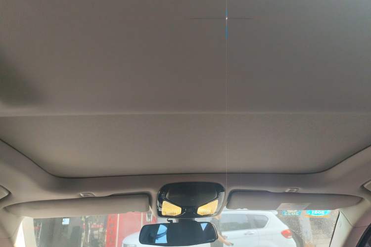 Used BMW 5 Series New Energy 2019 530Le Luxury Package
