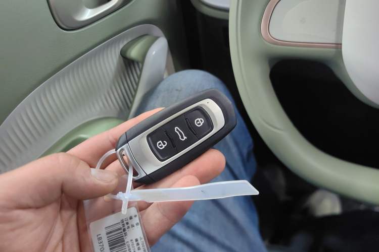 Used  Panda 2025 210km Panda Kart
