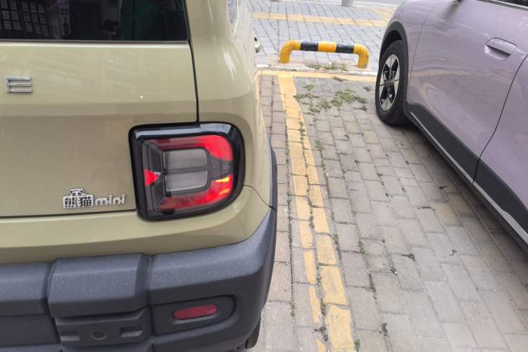 Used  Panda 2024 200km Panda Rider