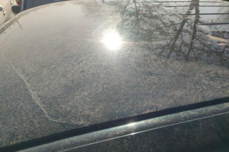 Used Dongfeng Ruichi 6 2021 2.3T Manual Two-Wheel Drive Diesel Standard Version with Long Cargo Bed M9T
