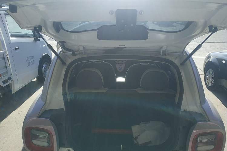 Used ORA Black Cat 2021 351 km Luxury Version