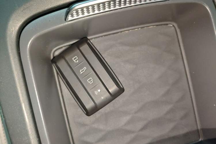 Used Tank 300 New Energy 2024 Hi4-T
