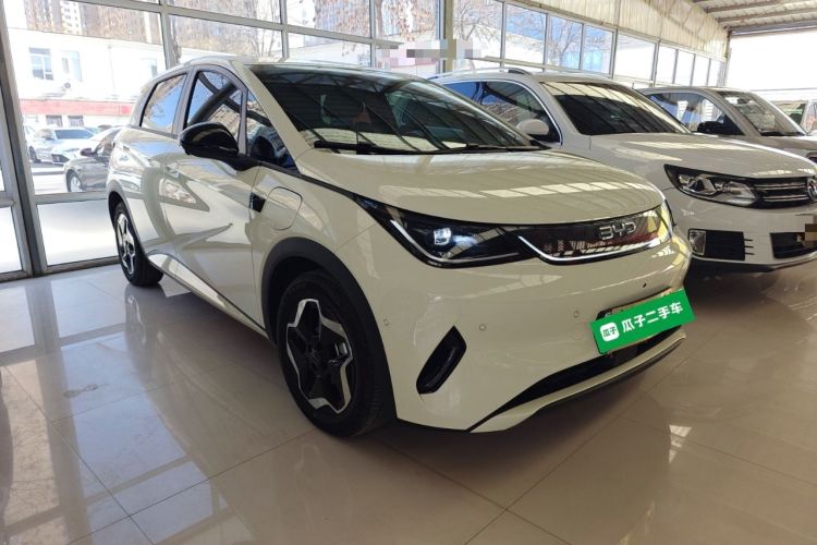 Used BYD Dolphin 2025 Smart Drive Version 420 km Freedom Edition