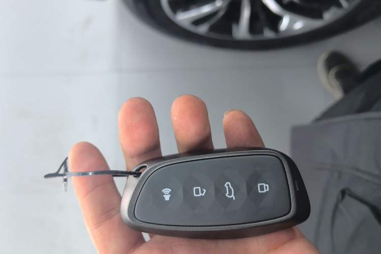 Used Haval H9 2024 2.0T Gasoline All-Wheel-Drive Extreme Edition