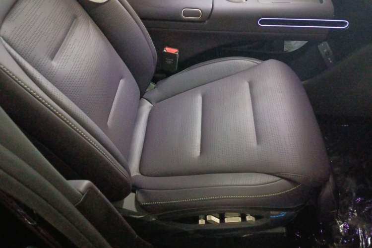 Used  07 2024 Max Pure Electric Edition
