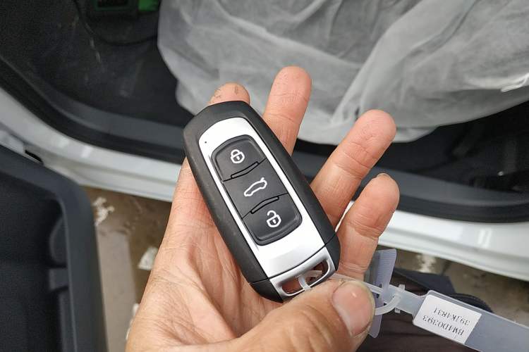 Used  Panda 2024 Panda Mini 200km Endurance Bear
