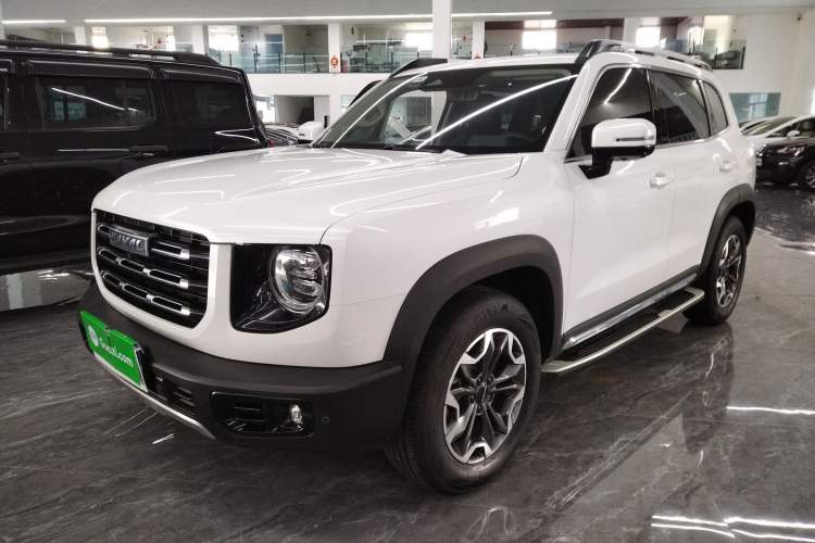Used Haval DARGO 2021 2.0T DCT 4x4 Chinese Rural Dog Edition