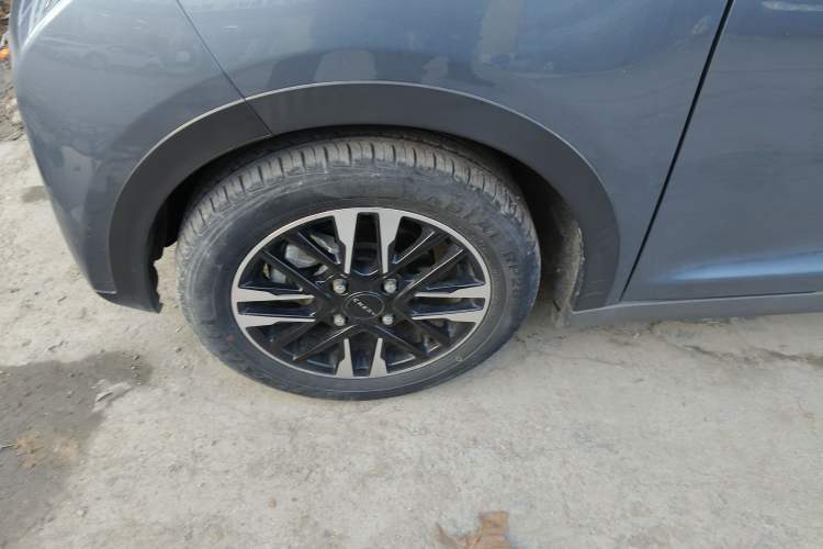 Used Chery Little Ant 2023 251km True Love Edition Lithium Iron Phosphate