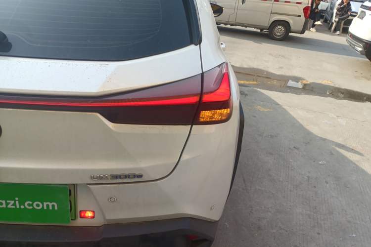 Used Lexus UX New Energy 2020 300e Pure·Joy Edition