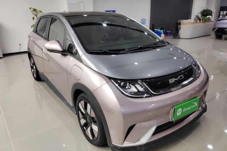 Used BYD Dolphin 2021 401km Knight Edition