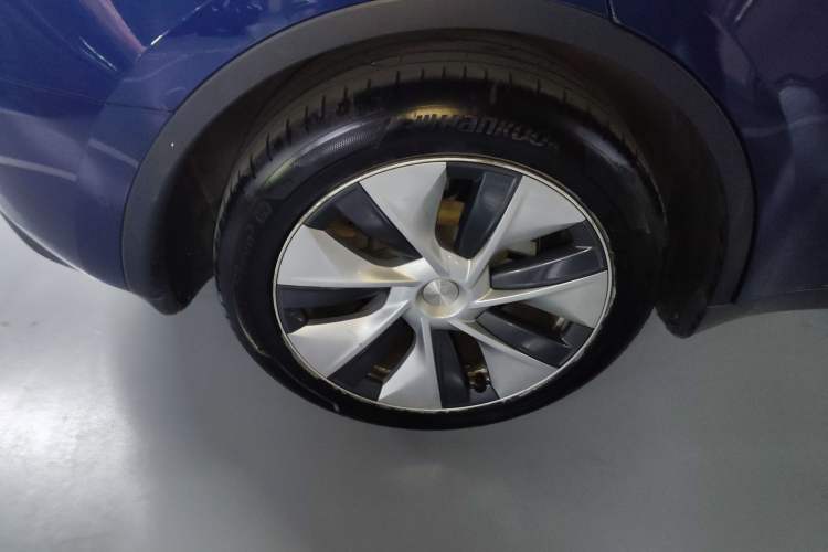 Used Tesla Model Y 2021 Standard Range Rear-Wheel Drive Version
