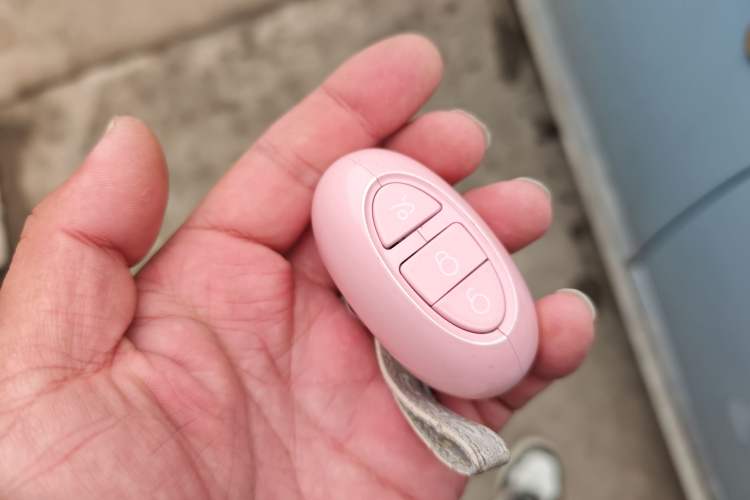 Used ORA Ballet Cat 2023 401 km Luxury Version