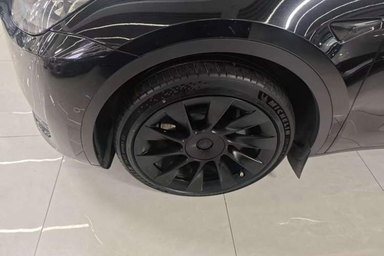 Used Tesla Model Y 2021 Standard Range Rear-Wheel Drive Version
