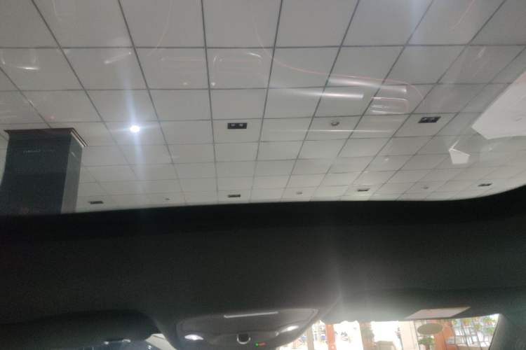 Used  #1 2024 Dynamic Luxury Edition