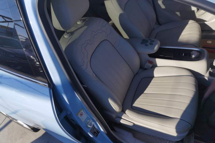 Used ORA Good Cat 2022 400km Standard Range Luxury Version Ternary Lithium
