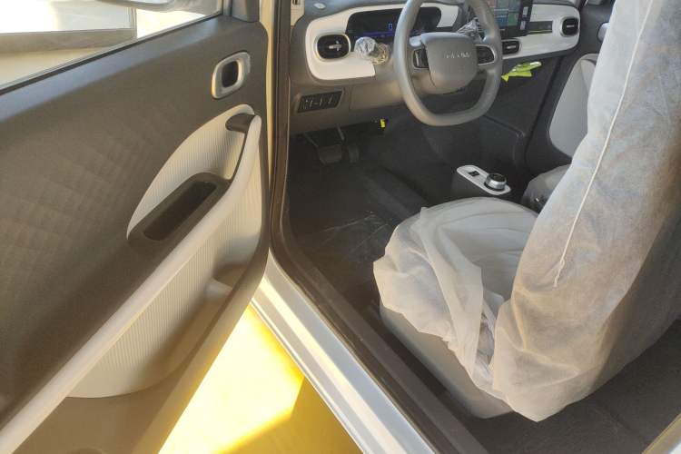 Used  Panda 2025 210 km – Yuanqi Bear