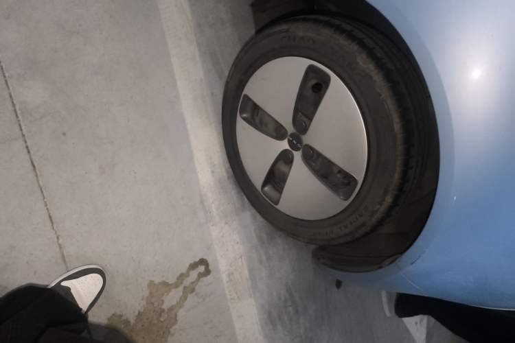 Used ORA Black Cat 2021 301km Cute Pet Edition
