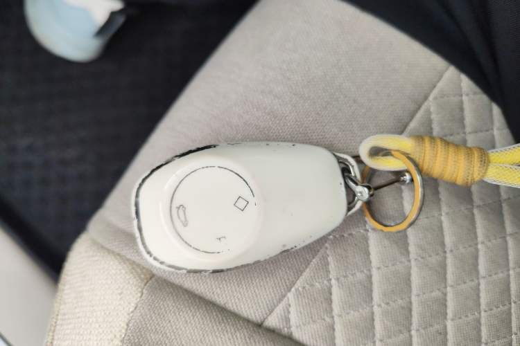 Used Leapmotor T03 2024 310 Comfort Edition
