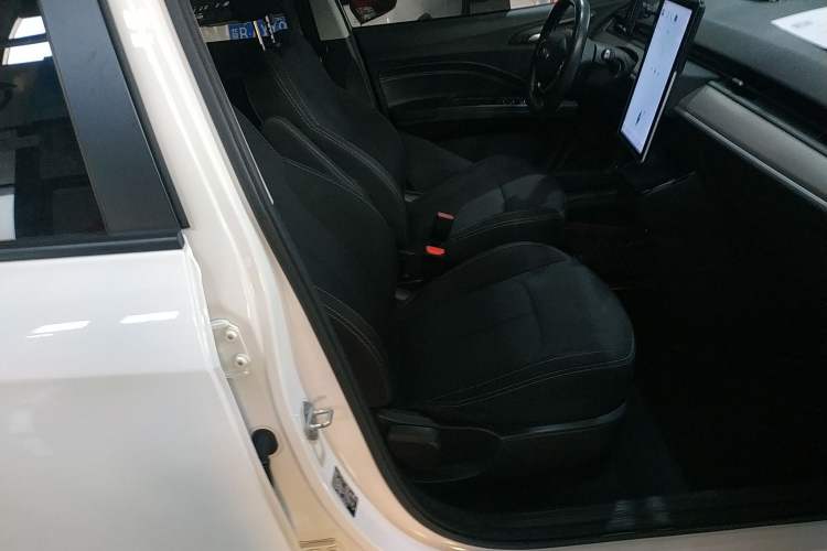 Used NETA V 2021 Standard Range Entertainment Edition