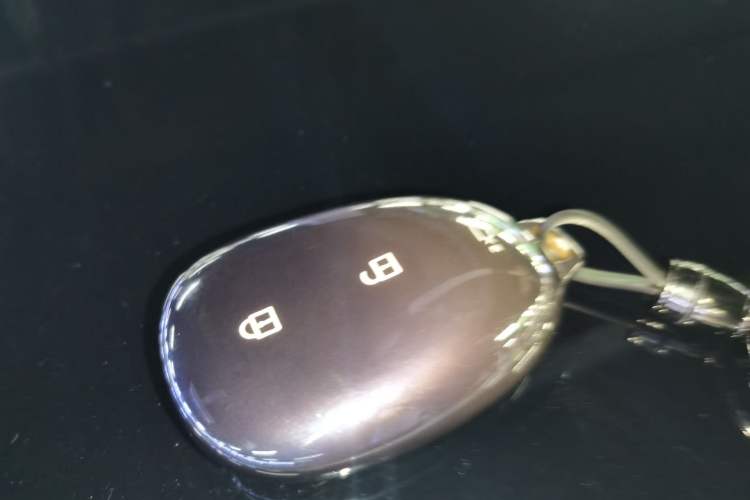 Used  Q07 2025 145 Prestige Edition