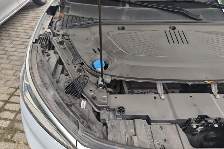 Used BYD Yuan PLUS 2024 Honor Edition 510KM Beyond Model
