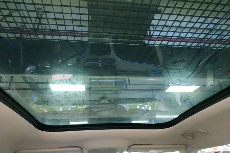 Used  #1 2022 Pulse Heartbeat Edition
