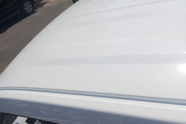 Used  Panda 2024 Panda Mini 200km Endurance Bear
