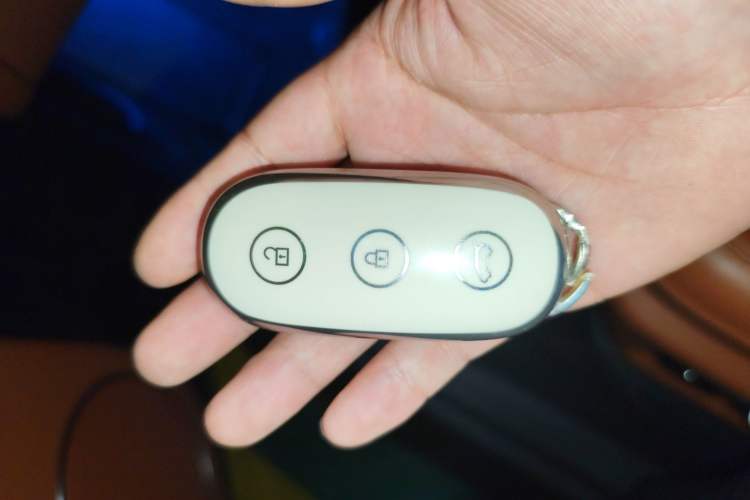 Used Li Auto L9 2022 Max model