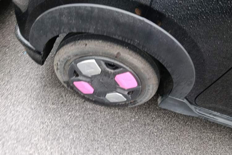 Used  Panda 2024 200km Panda Kart
