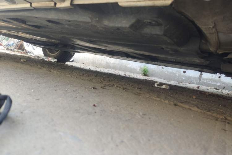 Used Toyota Corolla 2021 1.2T S-CVT Elite Edition
