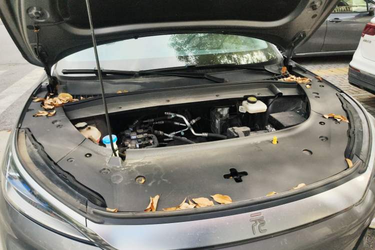 Used BYD Yuan PLUS 2022 510 km Luxury Version