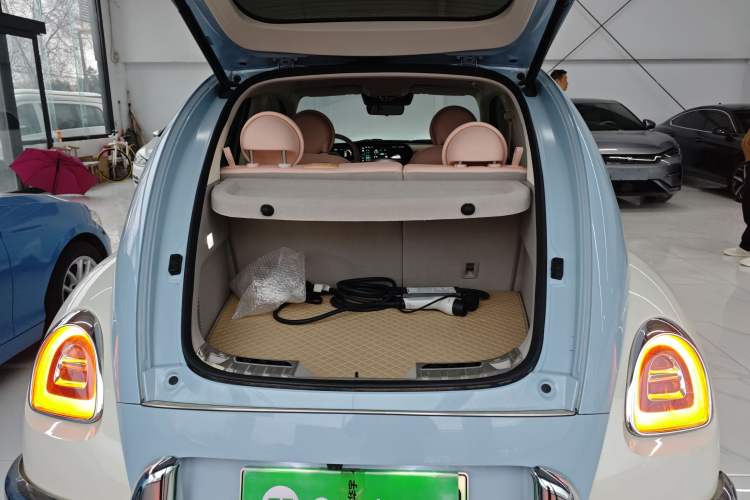 Used ORA Ballet Cat 2022 401 km Nutcracker Edition
