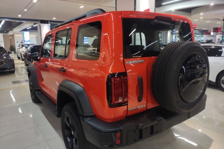 Used Tank 300 2024 2.0T Conqueror