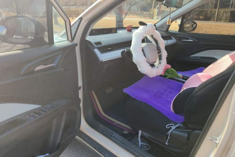 Used NETA AYA 2023 401