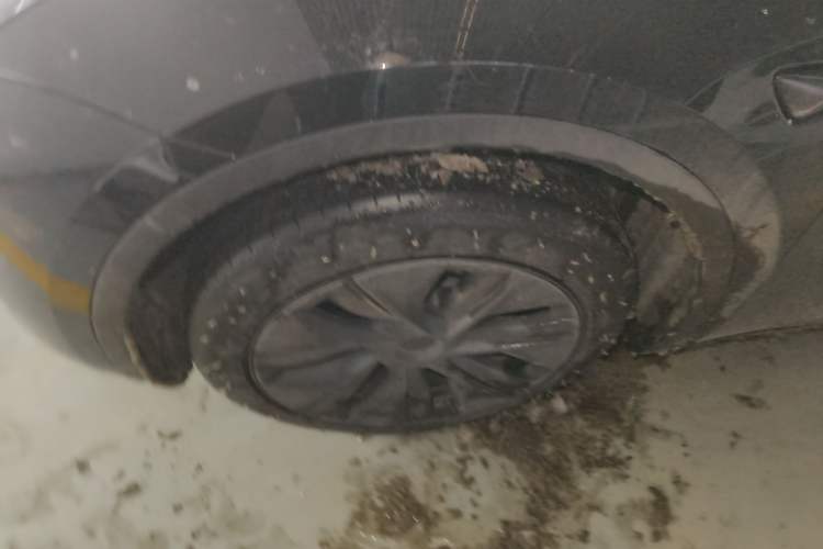 Used Tesla Model Y 2024 Rear-Wheel-Drive Version