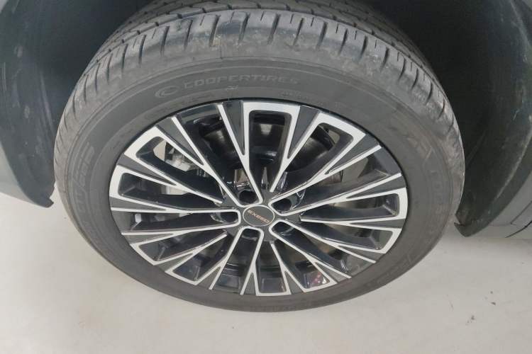 Used  Lingyun 2025 300T Two-Wheel Drive Starry Edition
