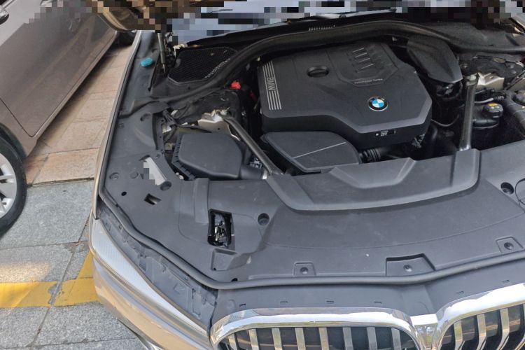 Used BMW 7 Series 2019 730Li Luxury Package
