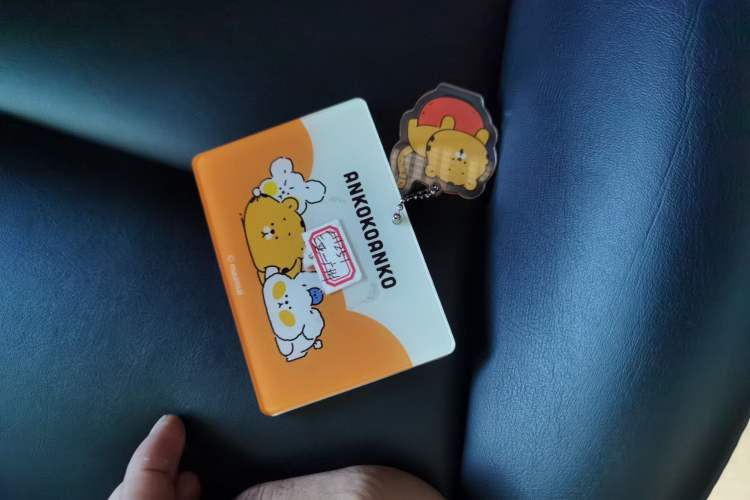 Used Tesla Model Y 2023 Rear-Wheel-Drive Version